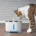 Dispensador De Agua Eléctrico Para Mascotas