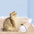 Juguetes Interactivos Con Luz Led Para Gatos