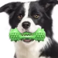 Juguetes Para Masticar y Cepillar Los Dientes Para Perros