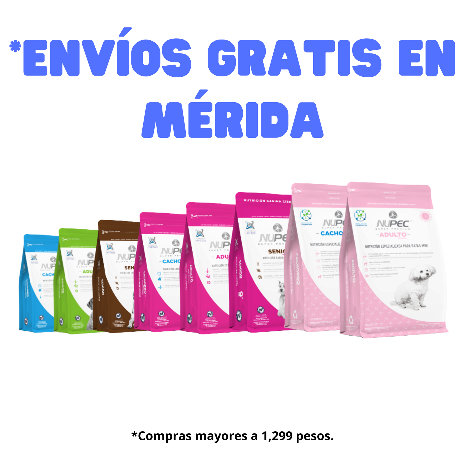 Envíos Gratis en Mérida (1)
