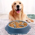 Plato para mascotas, tazón anti-atragantamiento para comida lenta