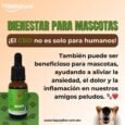 CBD para Perros y Gatos