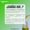 CBD para Perros y Gatos