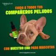 CBD para Perros y Gatos